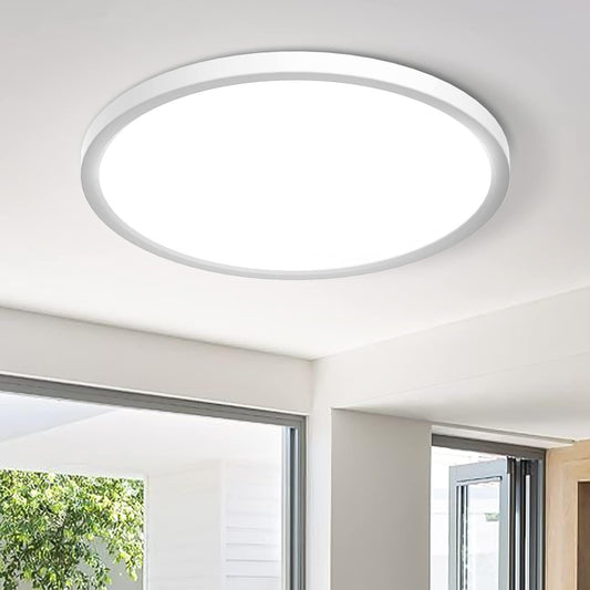 Ceiling Light LED Natural White 24W 5000K 1800LM 22 cm