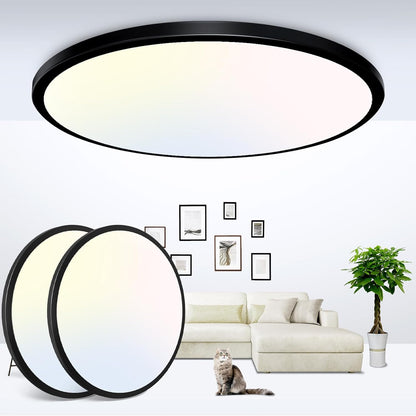 zemty LED Black Ceiling Lamp Flushmount 3 Color Temperature