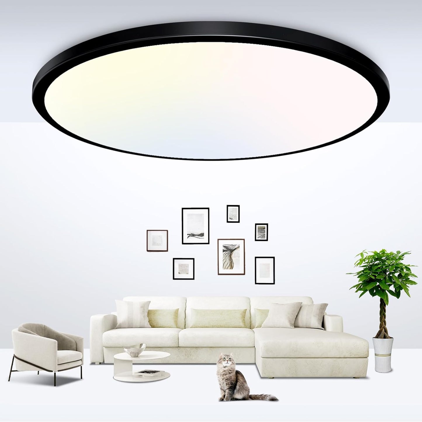 zemty Black LED Ceiling Light Selectable Round Flat Light Fixtures