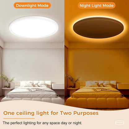 zemty ceiling light showing main light and night light dual modes
