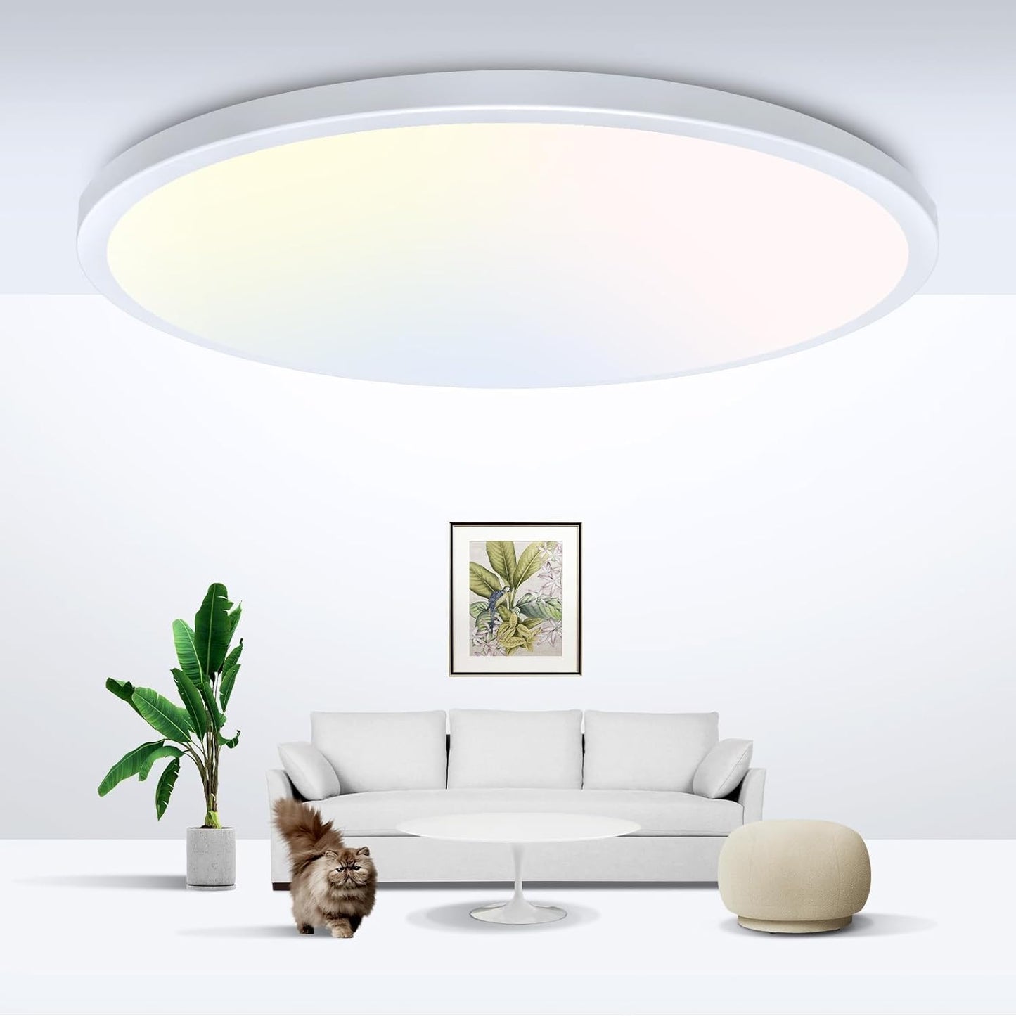 zemty LED Ceiling Light Flush Mount Super Slim Ceiling Lamp with 3 Color Temperature in One